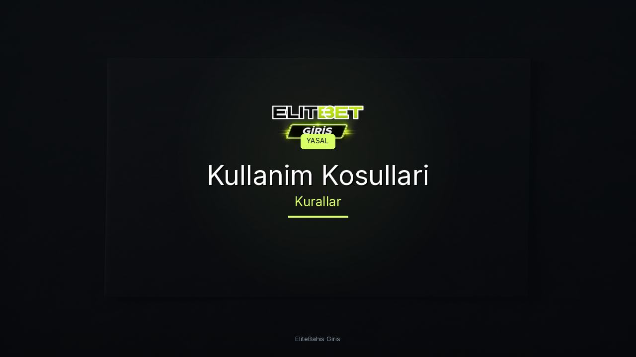 Kullanim Kosullari ve Sartlar